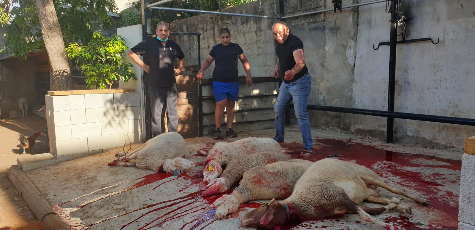 WhatsApp Image 2020-06-25 at 5.48.15 PM (2).jpeg.jpeg